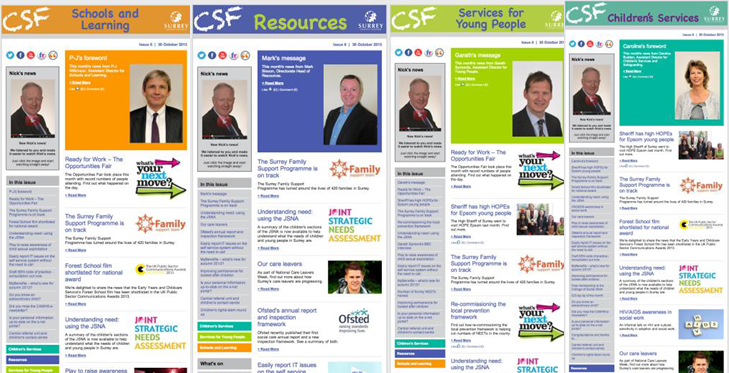 CSF Newsletter- Logo