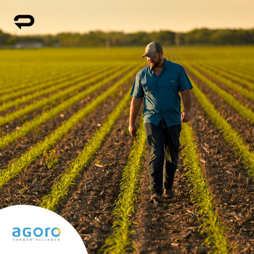 Agoro Carbon Alliance: Reducing Ag’s Carbon Footprint – 1 Million Acres at a Time